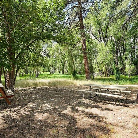 Rustic Cabin Near Downtown Bv And Arkansas River! Buena Vista Exterior foto